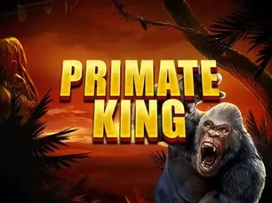Jet Casino New Zealand screenshot